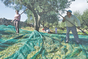 Σοβαρές ελλείψεις σε εργάτες γης