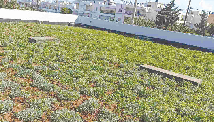 Πρόκειται για τον νέο, βιοκλιματικό κήπο, στο επίσης νέο, βιοκλιματικό 65ο Νηπιαγωγείο Ηρακλείου