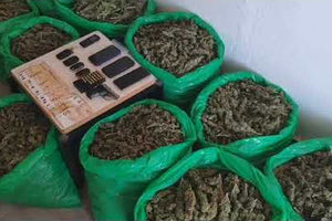 Υπόθεση 47 κιλών χασίς: Στη φυλακή πατέρας, γιοί και φίλος