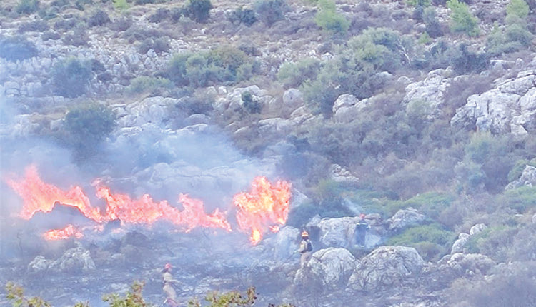 Έξι εμπρησμοί από τον Ιούνιο  στο δάσος της Κέρης 