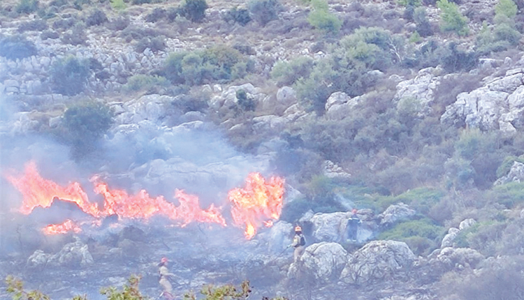Έξι εμπρησμοί από τον Ιούνιο στο δάσος της Κέρης