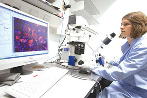 Υπάρχει άμεση ανάγκη για περαιτέρω έρευνα στους ανθρώπους, λένε οι επιστήμονες