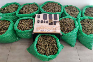 αστυνομική επιχείρηση βρήκε 47 κιλά κάνναβης στον Μυλοπόταμο