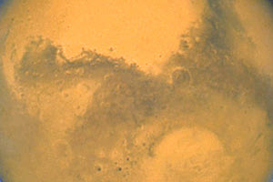 Πλανήτης Άρης