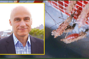 Ο Γιώργος Δημόπουλος, καθηγητής στο το John Hopkins ασχολείται με μικροβιακά βιοεντομοκτόνα στο Ίδρυμα Τεχνολογίας και Έρευνας