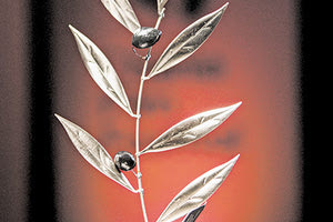 Τα Βραβεία του 10ου  Φεστιβάλ Κινηματογράφου Χανίων