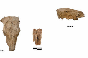 Το εύρημα στον Πετρά που εντυπωσίασε ανασκαφείς και επιστημονική κοινότητα