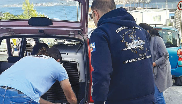 Το περισυνέλεξαν εθελοντές και άνθρωποι του Λιμεναρχείου και έφτασε με ασφάλεια στην Αθήνα