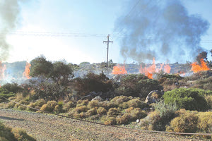 Ένδεκα εμπρησμοί έχουν σημειωθεί μέχρι χθες