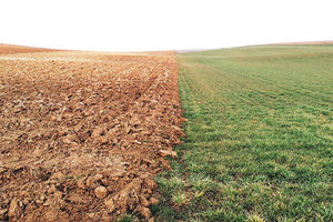 Ερημοποίηση, χαμένες αγροτικές εκτάσεις, αύξηση του κινδύνου πυρκαγιάς απειλούν και την Κρήτη