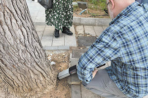 Στον κορμό του δέντρου ο έλεγχος με το μηχάνημα