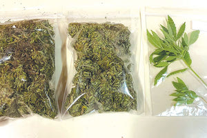 Τα ναρκωτικά που κατασχέθηκαν