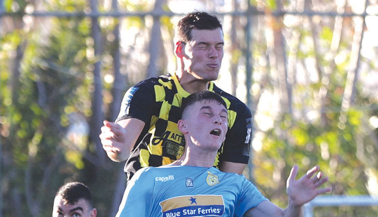 ΑΝΘΕΣΤΙΩΝΑΣ ΕΡΓΟΤΕΛΗς