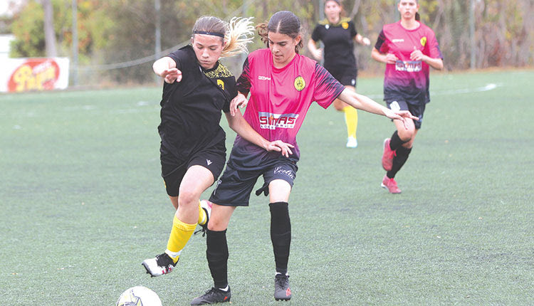 Στιγμιότυπο από το ματς Ν. Εργοτέλη - ΑΕΚ