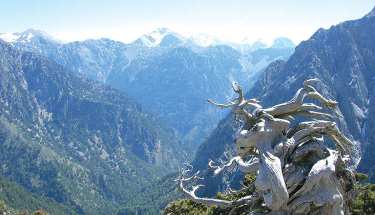 Η βιοποικιλότητα της Κρήτης τίθεται στο επίκεντρο