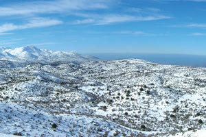 ΑΠΟ ΤΟΝ ΑΛ. ΣΤΑΜΑΤΑΚΗ Νέα ερευνητική προσπάθεια στο ΙΤΕ