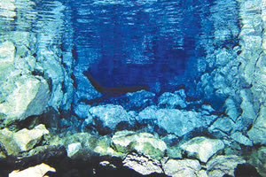 ΑΠΟ ΕΡΕΥΝΗΤΕΣ ΤΗΣ ΚΡΗΤΗΣ Ένα παγκόσμιο σύστημα των οικοσυστημάτων!