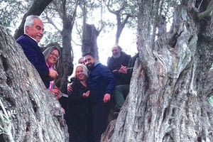 ΚΑΤΩ ΑΣΙΤΕΣ: Κρητικό γλέντι μέσα στον κορμό ελιάς 2.500 χρόνων