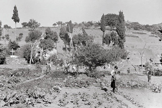 ΦΩΤΟΗΜΕΡΑΣ: Κρήτη, Καστέλι Πεδιάδος. Αγρότες καλλιεργούν τα χωράφια τους (1942, φωτογραφία Karl Ottahal).