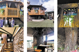 Έφτιαξαν ένα ξύλινο δεντρόσπιτο στην αυλή του Νηπιαγωγείου Μοχού