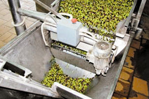 ελαιουργείο