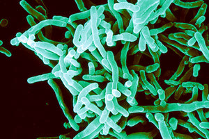 Ανθεκτικές λοιμώξεις