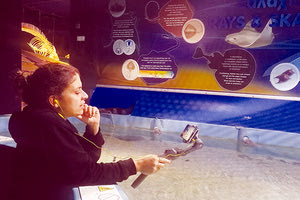 διαδικτυακή ξενάγηση στο Ενυδρείο Κρήτης πραγματοποίησαν μαθητές από έντεκα απομακρυσμένα νησιά του Αιγαίου!