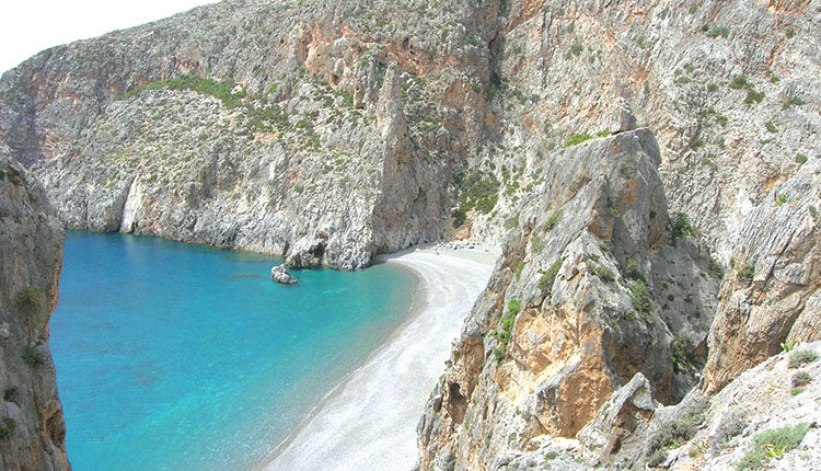 Η βιοποικιλότητα της Κρήτης τίθεται στο επίκεντρο