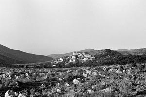 ΦΩΤΟΗΜΕΡΑΣ: Στην Πολυθέα-Σπυριδιανό, δίπλα στο Καστέλλι, το 1942, επί Κατοχής (πηγή Karl Ottalial).