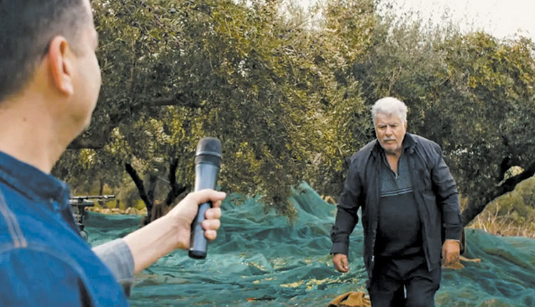 Πώς μαζεύουμε τις ελιές!