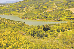 Χρηματοδότηση για να ξεμπλοκάρει το φράγμα των Παρτίρων