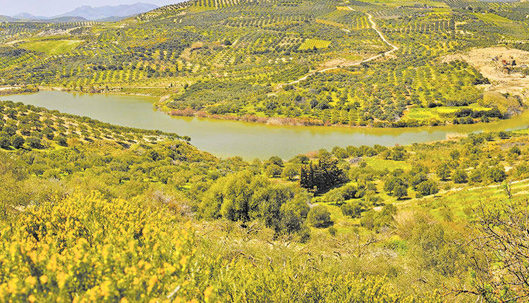 Χρηματοδότηση για να ξεμπλοκάρει το φράγμα των Παρτίρων
