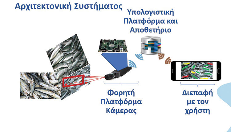 Οι ερευνητές απαντούν αν τα ψάρια που καταναλώνουμε είναι όντως φρέκα!