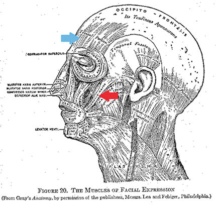 Μάθημα ανατομίας με Messi... και Modric στο Πανεπιστήμιο!