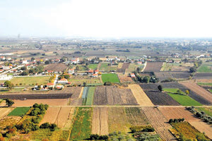 ΤΙ ΔΕΙΧΝΟΥΝ ΟΙ ΑΙΤΗΣΕΙΣ ΠΟΥ ΚΑΤΑΤΕΘΗΚΑΝ Οι αλλοδαποί... σχεδόν μονοπωλούν την κατά παρέκκλιση δόμηση