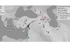 Οι επιστήμονες μελέτησαν πώς άλλαξε η ανθρώπινη κινητικότητα τα τελευταία 10.000 χρόνια