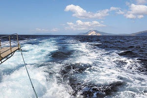 Από την Τετάρτη αρχίζουν οι πληρωμές για το Μεταφορικό Ισοδύναμο. D