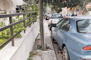  «Οι νεραντζιές ανθίσανε και φέτος και έχουν και βεντέμα» σχολίαζε χιουμοριστικά στη στήλη συμπολίτης μας, ο οποίος εξέφραζε την ειλικρινή απορία σε σχέση με τα κριτήρια που ο δήμος προχωρά σε φυτεύσεις, που σε πολλές περιπτώσεις είναι το λιγότερο αψυχολόγητες.