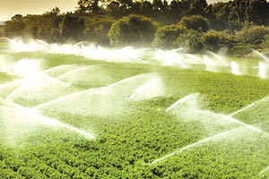 Λότζια: Χωρίς αυξήσεις τα τέλη άρδευσης του 2023