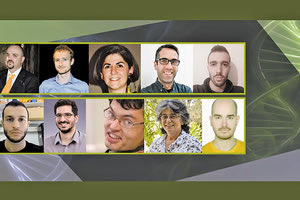 ΚΑΝΕΙ ΦΛΕΓΜΟΝΕΣ ΚΑΙ ΑΥΤΟΑΝΟΣΑ: Ένοχη πρωτεΐνη ανακάλυψαν ερευνητές του ΙΤΕ