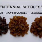 Δείτε όλα τα άρθρα από το χρήστη Γιάννης Φυσαράκης