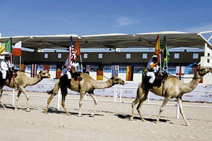 Κατάρ: Και καλλιστεία… καμήλων παράλληλα με το Μουντιάλ