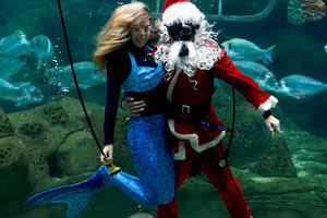 Χριστούγεννα στο Ενυδρείο Κρήτης με τον άγιο Βασίλη και τη γοργόνα Ευρυάλη