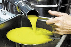 Ανοδικές τάσεις για την τιμή του ελαιόλαδου