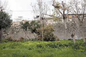 Να ανακληθεί η απόφαση για κοπές δέντρων ζητούν από τη δημοτική Αρχή οι πέντε παρατάξεις της αντιπολίτευσης.