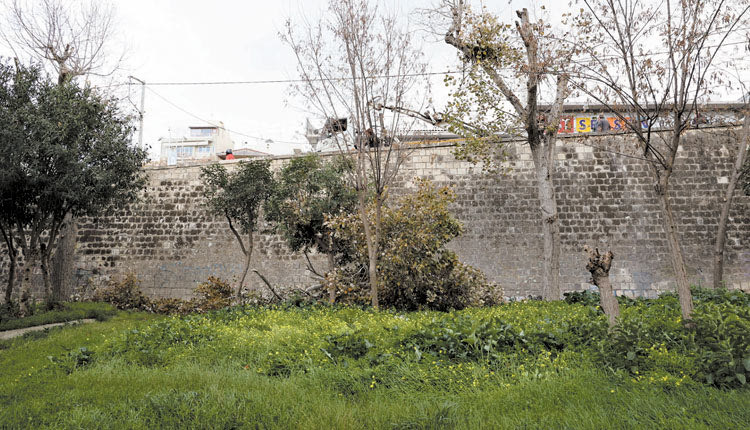 Να ανακληθεί η απόφαση για κοπές δέντρων ζητούν από τη δημοτική Αρχή οι πέντε παρατάξεις της αντιπολίτευσης.