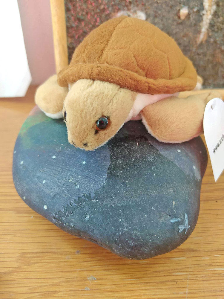 Ο Σύλλογος έστειλε ένα λούτρινο χελωνάκι στο σχολείο