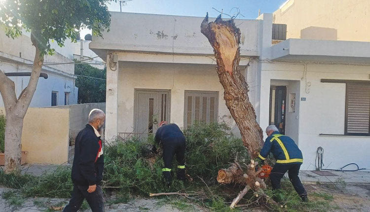 Από θαύμα δεν σημειώθηκε σοβαρό ατύχημα στην οδό Σταδίου 38 στην Αλικαρνασσό, όπου ένα δέντρο έπεσε στο οδόστρωμα