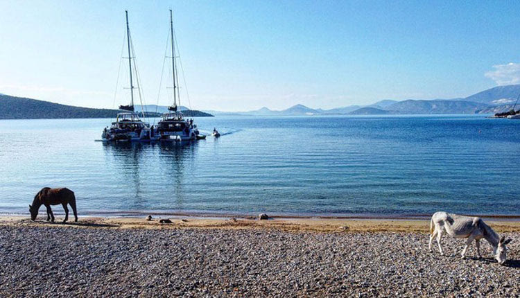 ιστιοπλοια ιστιοφορα