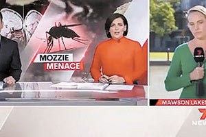 Από την Αυστραλία τα νέα τώρα: Την είδηση της εμφάνισης κουνουπιών στην Καμπέρα που μεταφέρουν έναν άγνωστο ιό μετέδωσε τηλεοπτικός σταθμός της Αυστραλίας.